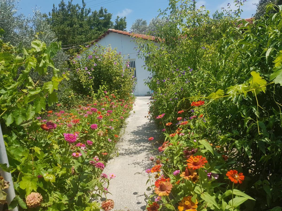Pension Zoi Kolymbia Bagian luar foto